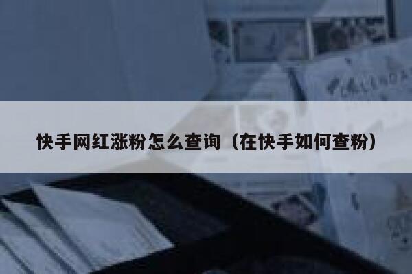 快手网红涨粉怎么查询（在快手如何查粉） 第1张