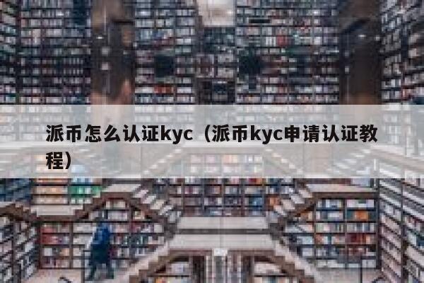 派币怎么认证kyc（派币kyc申请认证教程） 第1张