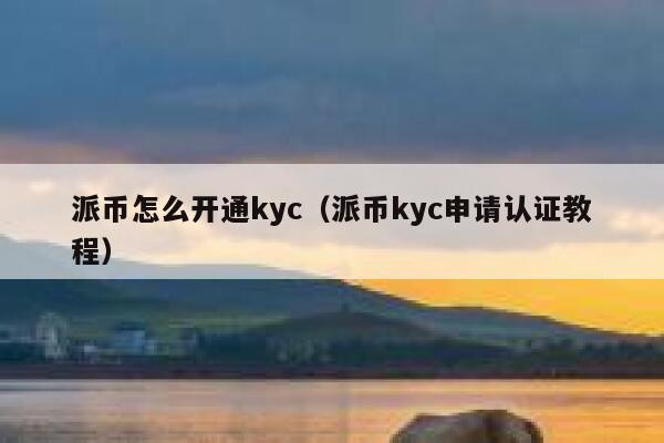 派币怎么开通kyc（派币kyc申请认证教程） 第1张