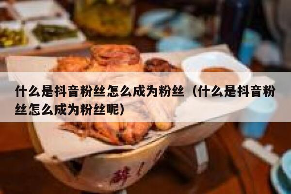 什么是抖音粉丝怎么成为粉丝（什么是抖音粉丝怎么成为粉丝呢） 第1张