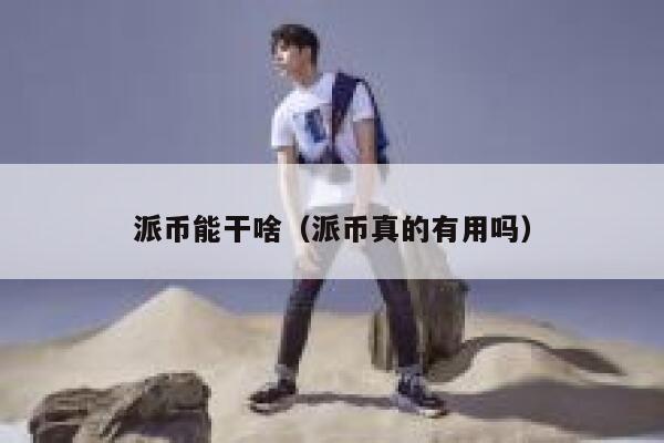 派币能干啥（派币真的有用吗） 第1张