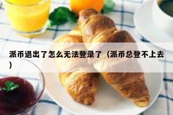 派币退出了怎么无法登录了（派币总登不上去） 第1张