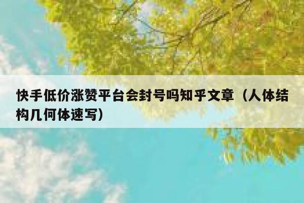 快手低价涨赞平台会封号吗知乎文章（人体结构几何体速写） 第1张