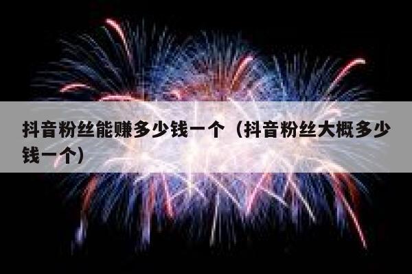 抖音粉丝能赚多少钱一个（抖音粉丝大概多少钱一个） 第1张