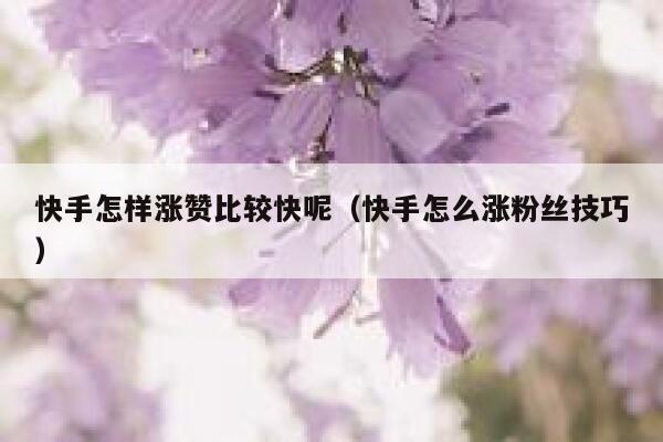 快手怎样涨赞比较快呢（快手怎么涨粉丝技巧） 第1张