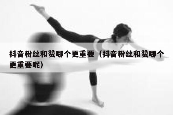 抖音粉丝和赞哪个更重要（抖音粉丝和赞哪个更重要呢） 第1张