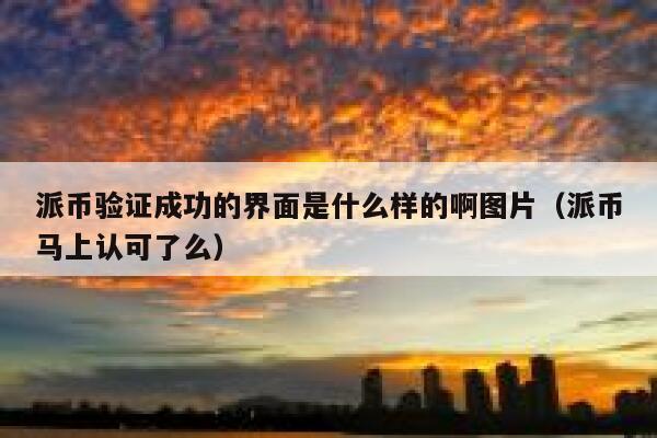 派币验证成功的界面是什么样的啊图片（派币马上认可了么） 第1张