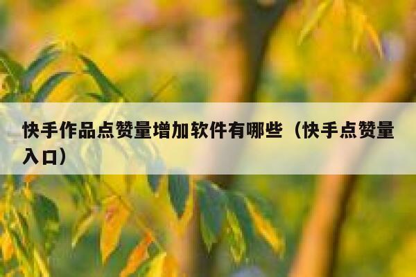 快手作品点赞量增加软件有哪些（快手点赞量入口） 第1张