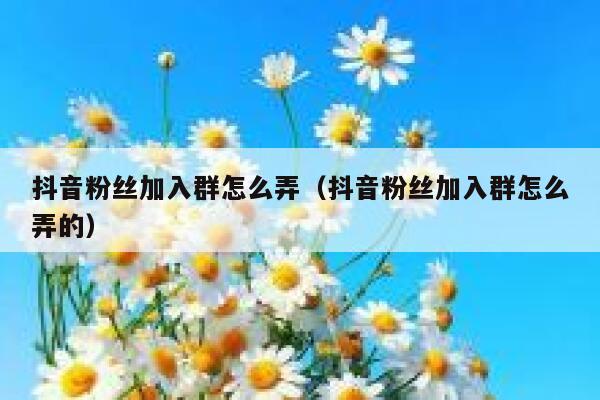 抖音粉丝加入群怎么弄（抖音粉丝加入群怎么弄的） 第1张