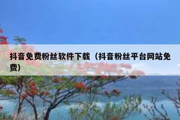 抖音免费粉丝软件下载（抖音粉丝平台网站免费） 第1张