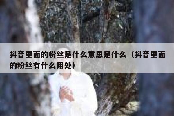 抖音里面的粉丝是什么意思是什么(抖音里面的粉丝有什么用处) 第1张 抖音里面的粉丝是什么意思是什么(抖音里面的粉丝有什么用处) 第1张