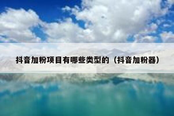 抖音加粉项目有哪些类型的（抖音加粉器） 第1张