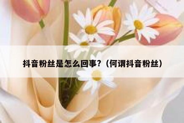 抖音粉丝是怎么回事?（何谓抖音粉丝） 第1张