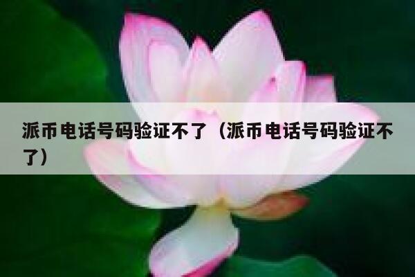 派币电话号码验证不了（派币电话号码验证不了） 第1张
