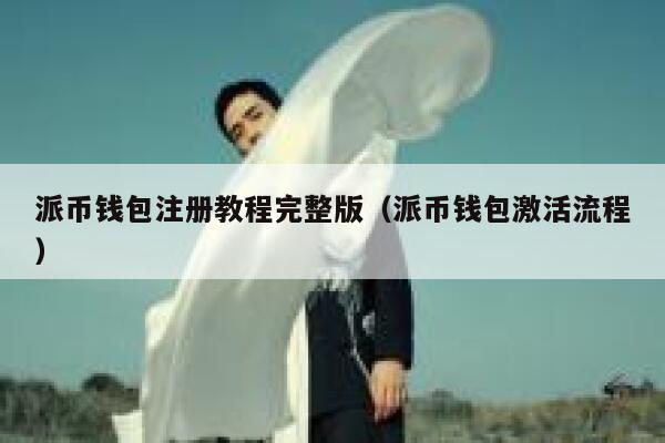派币钱包注册教程完整版（派币钱包激活流程） 第1张