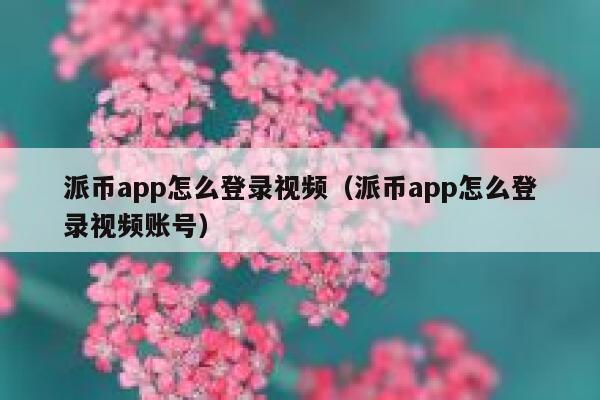 派币app怎么登录视频（派币app怎么登录视频账号） 第1张