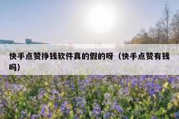 快手点赞挣钱软件真的假的呀(快手点赞有钱吗) 第1张 快手点赞挣钱软件真的假的呀(快手点赞有钱吗) 第1张