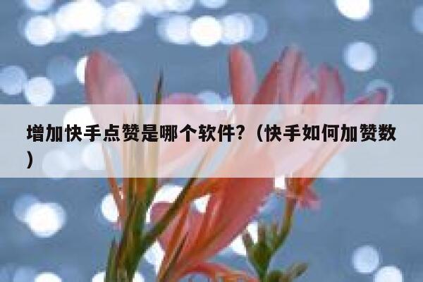 增加快手点赞是哪个软件?(快手如何加赞数) 第1张 增加快手点赞是哪个软件?(快手如何加赞数) 第1张