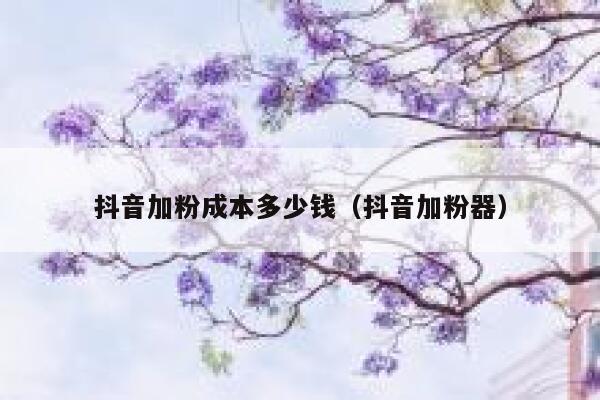 抖音加粉成本多少钱（抖音加粉器） 第1张