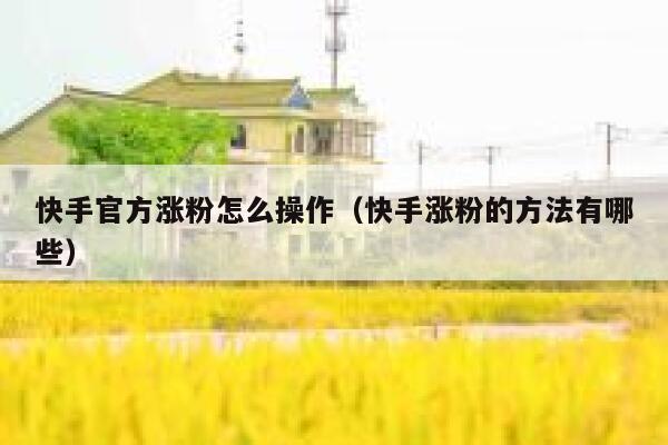 快手官方涨粉怎么操作（快手涨粉的方法有哪些） 第1张