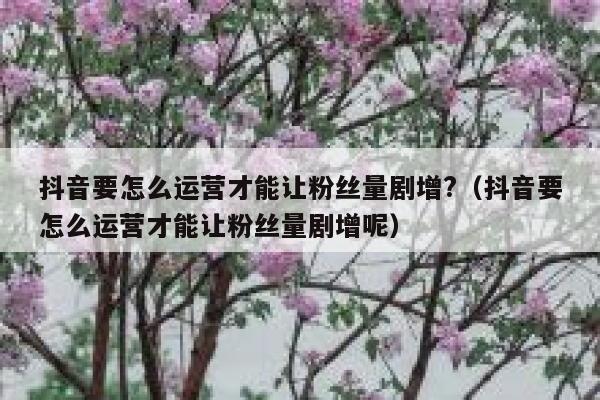 抖音要怎么运营才能让粉丝量剧增?(抖音要怎么运营才能让粉丝量剧增呢) 第1张 抖音要怎么运营才能让粉丝量剧增?(抖音要怎么运营才能让粉丝量剧增呢) 第1张
