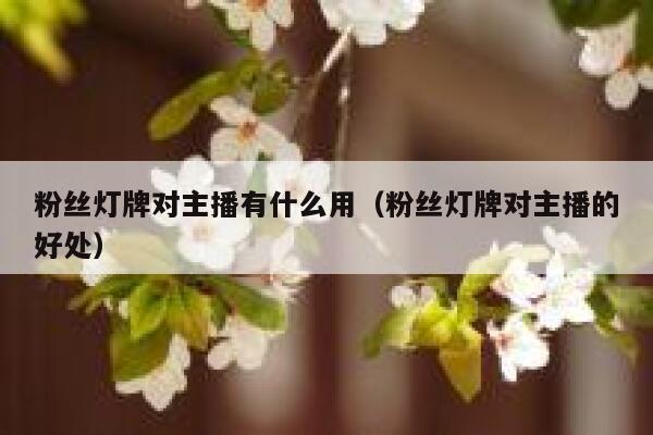 粉丝灯牌对主播有什么用（粉丝灯牌对主播的好处） 第1张