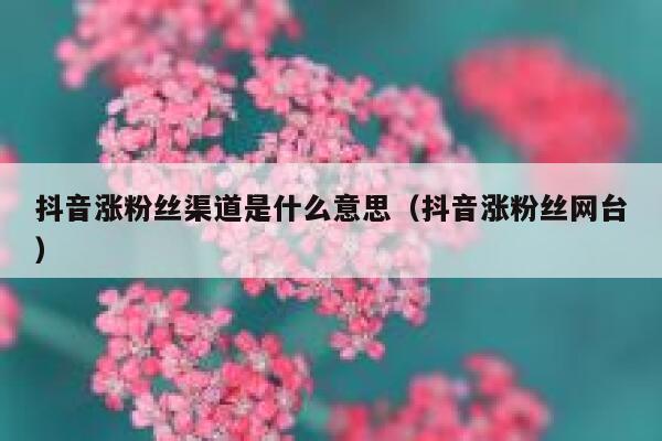 抖音涨粉丝渠道是什么意思（抖音涨粉丝网台） 第1张