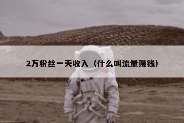 2万粉丝一天收入（什么叫流量赚钱） 第1张