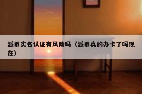 派币实名认证有风险吗(派币真的办卡了吗现在) 第1张 派币实名认证有风险吗(派币真的办卡了吗现在) 第1张