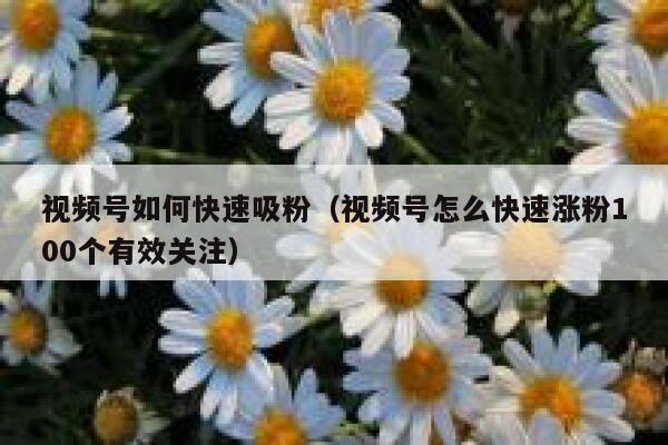视频号如何快速吸粉（视频号怎么快速涨粉100个有效关注） 第1张