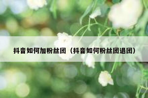 抖音如何加粉丝团（抖音如何粉丝团退团） 第1张