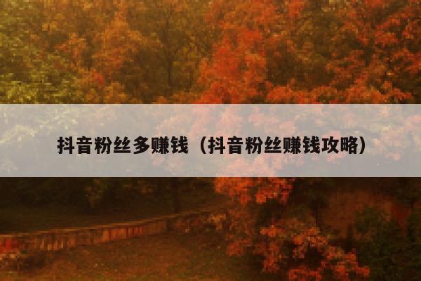 抖音粉丝多赚钱（抖音粉丝赚钱攻略） 第1张
