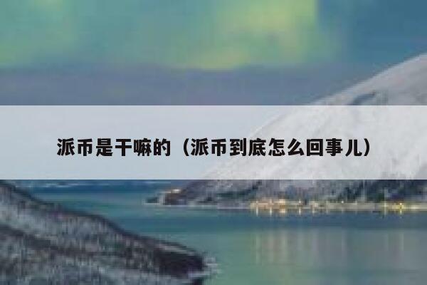 派币是干嘛的（派币到底怎么回事儿） 第1张