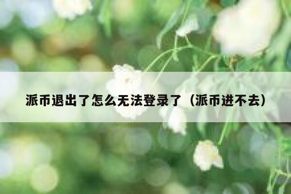 派币退出了怎么无法登录了（派币进不去） 第1张