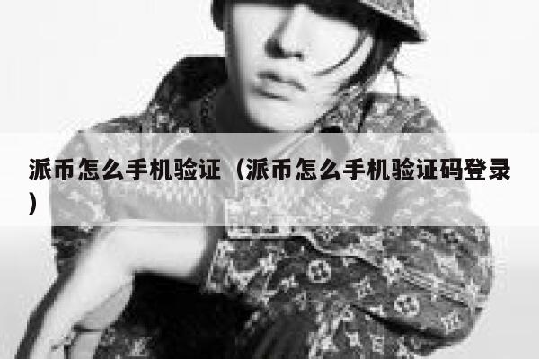 派币怎么手机验证（派币怎么手机验证码登录） 第1张