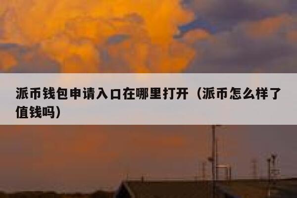 派币钱包申请入口在哪里打开（派币怎么样了值钱吗） 第1张