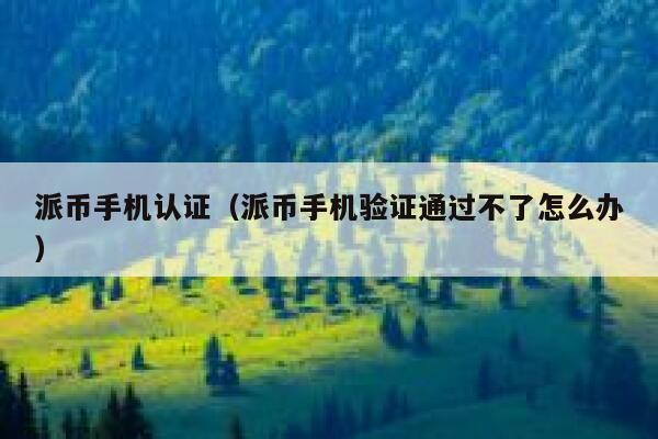 派币手机认证（派币手机验证通过不了怎么办） 第1张