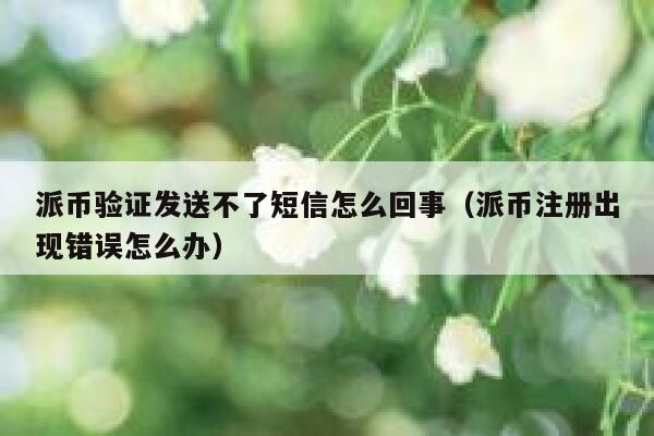 派币验证发送不了短信怎么回事(派币注册出现错误怎么办) 第1张 派币验证发送不了短信怎么回事(派币注册出现错误怎么办) 第1张