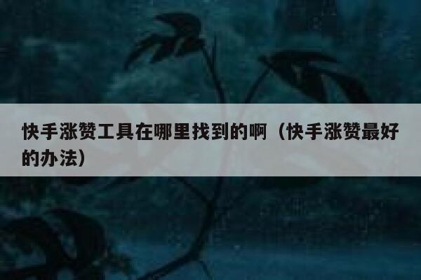快手涨赞工具在哪里找到的啊（快手涨赞最好的办法） 第1张