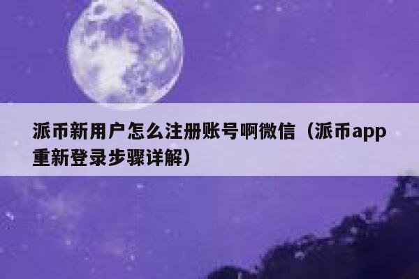 派币新用户怎么注册账号啊微信（派币app重新登录步骤详解） 第1张