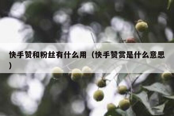 快手赞和粉丝有什么用（快手赞赏是什么意思） 第1张