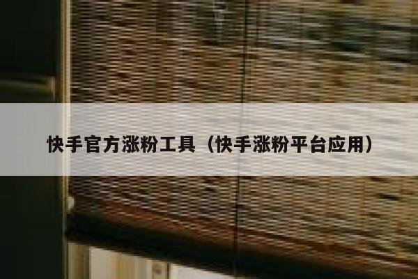 快手官方涨粉工具（快手涨粉平台应用） 第1张