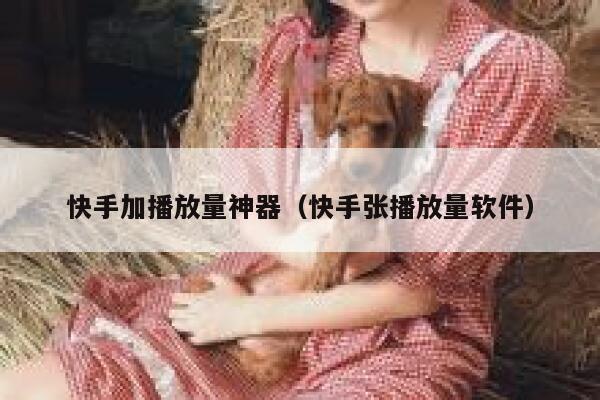 快手加播放量神器（快手张播放量软件） 第1张