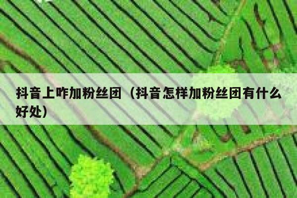 抖音上咋加粉丝团（抖音怎样加粉丝团有什么好处） 第1张