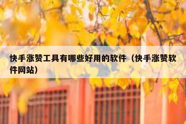 快手涨赞工具有哪些好用的软件（快手涨赞软件网站） 第1张