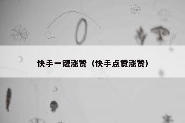 快手一键涨赞（快手点赞涨赞） 第1张