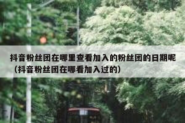 抖音粉丝团在哪里查看加入的粉丝团的日期呢（抖音粉丝团在哪看加入过的） 第1张