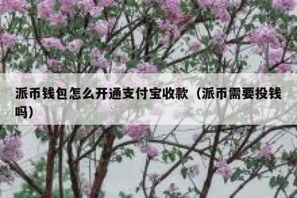 派币钱包怎么开通支付宝收款(派币需要投钱吗) 第1张 派币钱包怎么开通支付宝收款(派币需要投钱吗) 第1张
