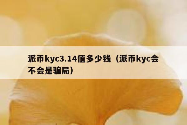 派币kyc3.14值多少钱(派币kyc会不会是骗局) 第1张 派币kyc3.14值多少钱(派币kyc会不会是骗局) 第1张