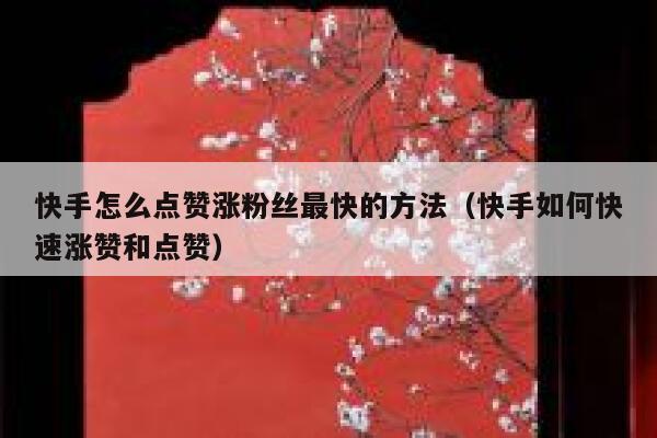 快手怎么点赞涨粉丝最快的方法(快手如何快速涨赞和点赞) 第1张 快手怎么点赞涨粉丝最快的方法(快手如何快速涨赞和点赞) 第1张